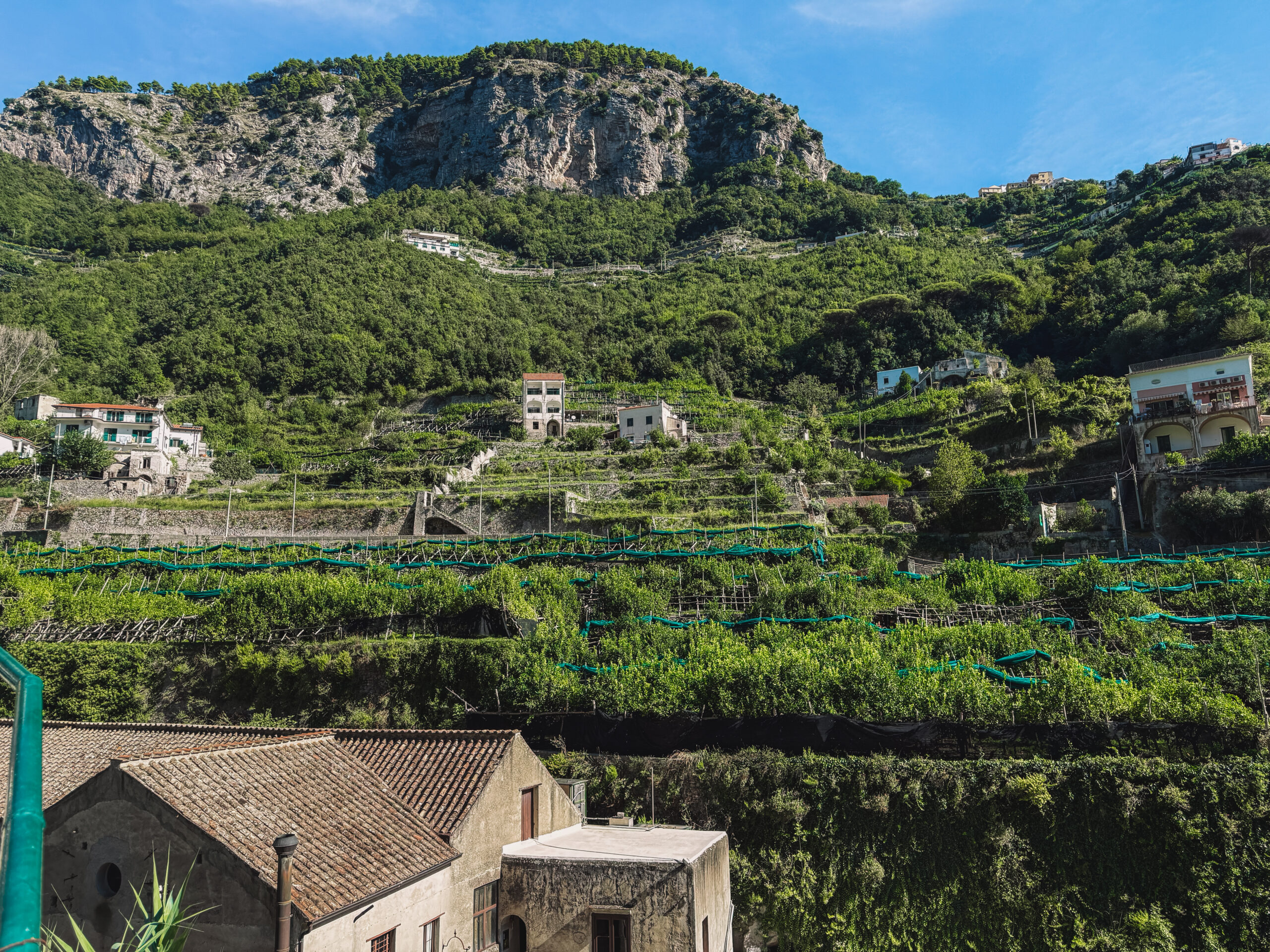 Terraced lemon groves and mountain views along the Amalfi Coast in Italy.