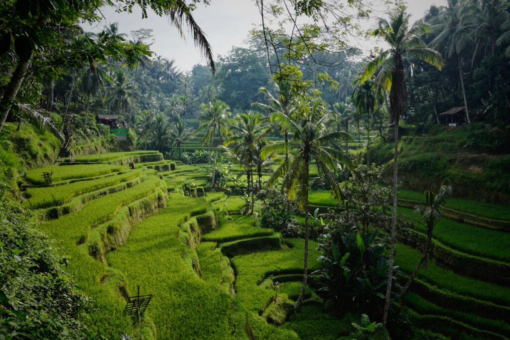 Bali, Indonesia - a solo female destination