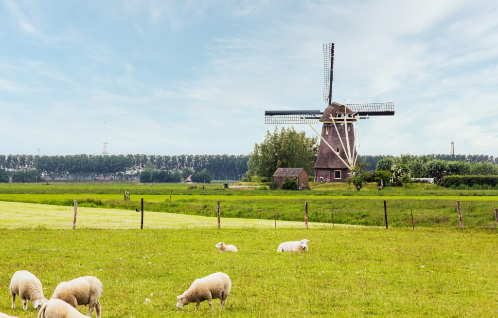 The Netherlands - a solo female travel destination